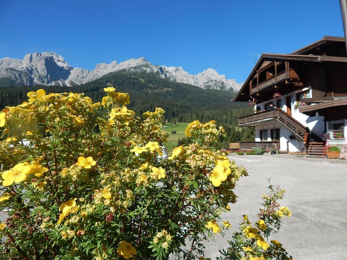 Residence La Pineta Padola Zewnętrze zdjęcie
