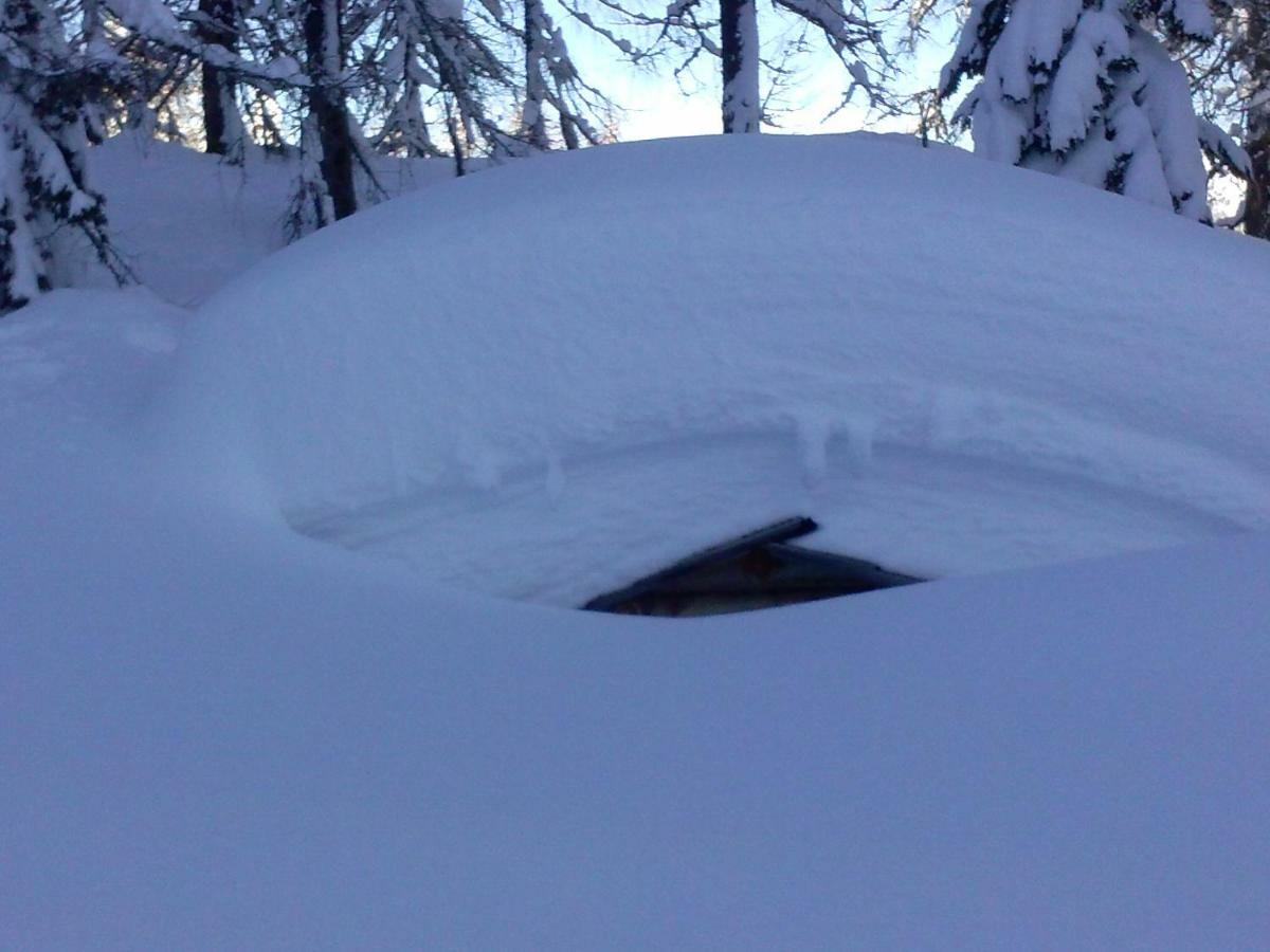 Residence La Pineta Padola Zewnętrze zdjęcie