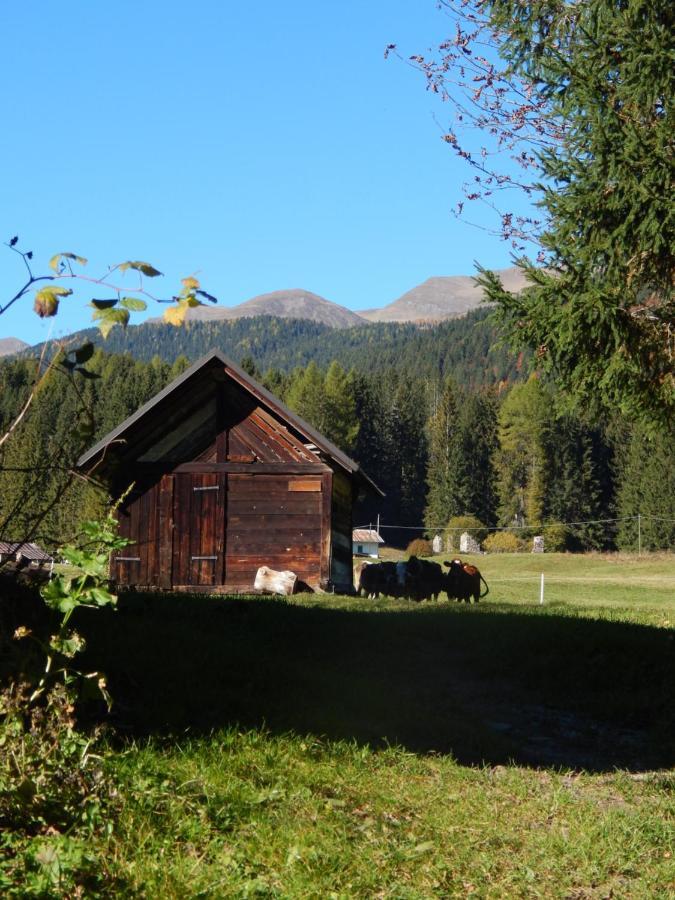 Residence La Pineta Padola Zewnętrze zdjęcie